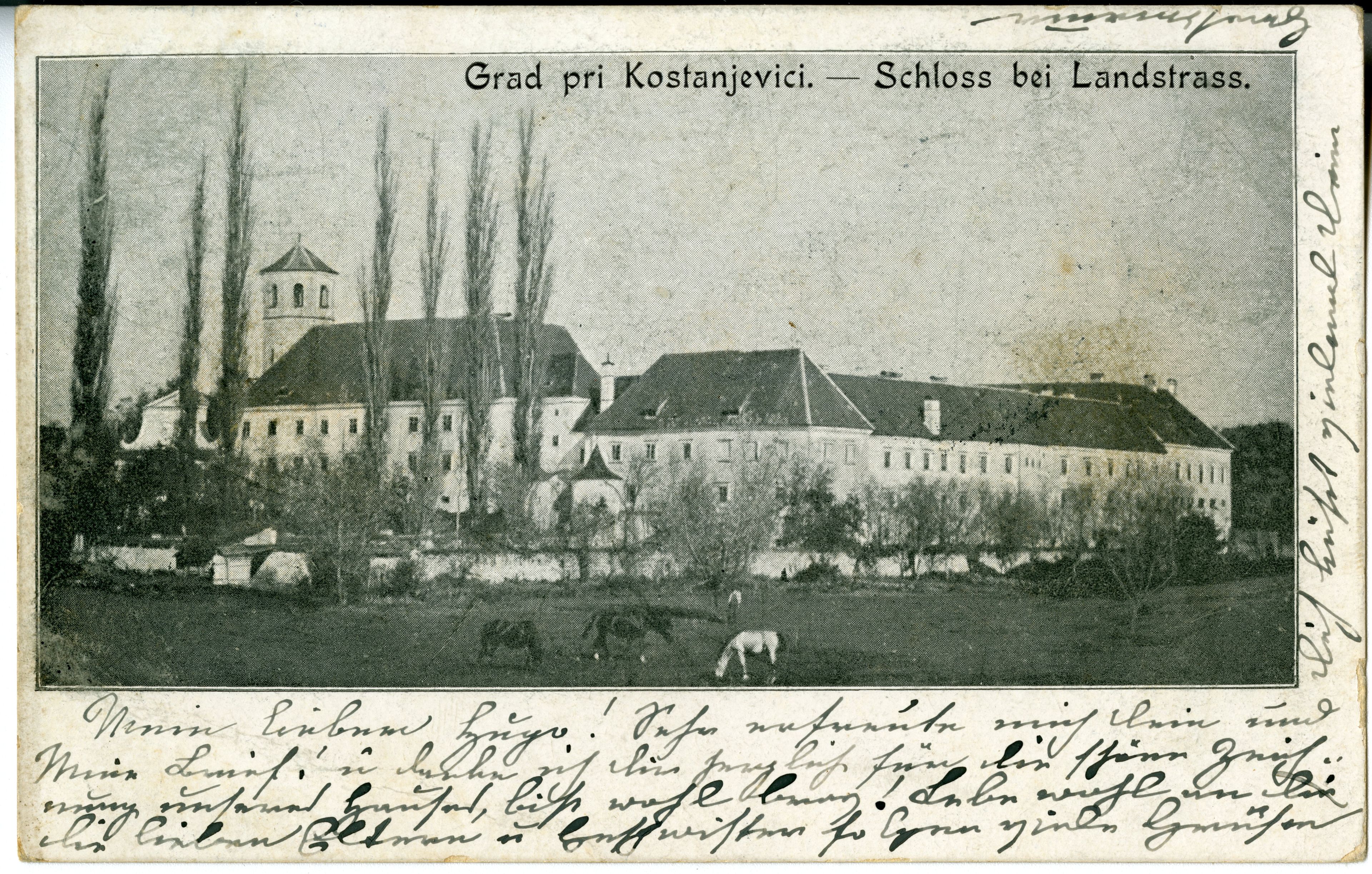 razglednica pogled na nekdanji samostan v Kostanjevici na Krki